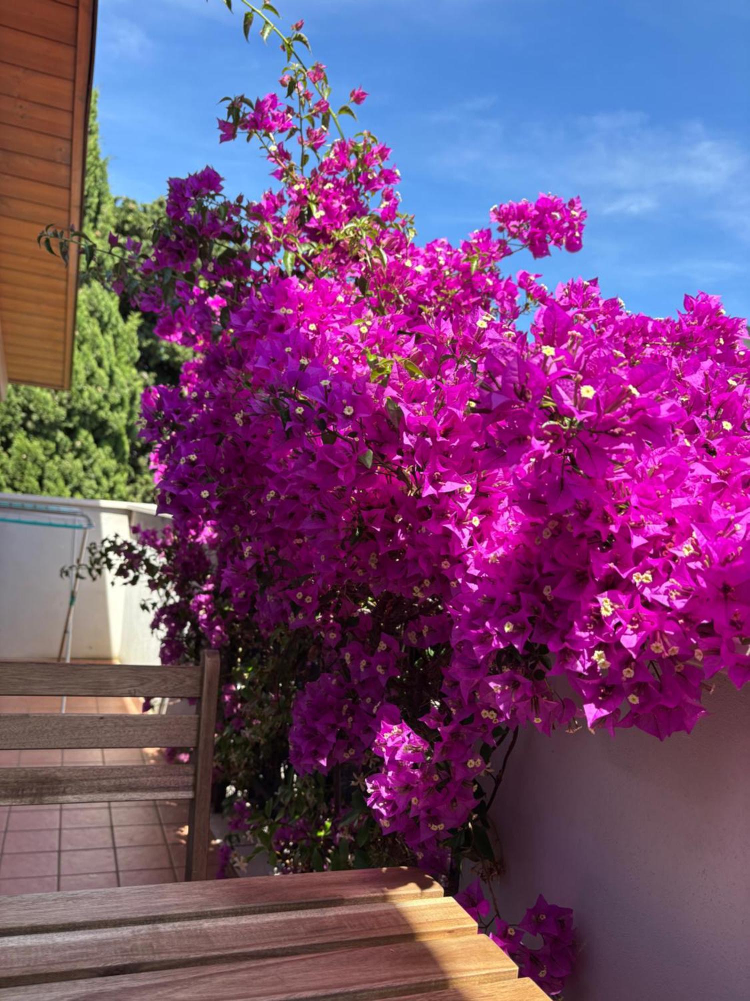 Bed & Breakfast Carlotta 3*